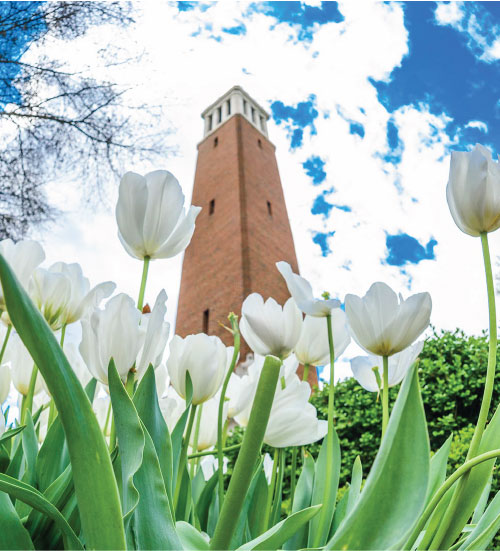 Denny Chimes